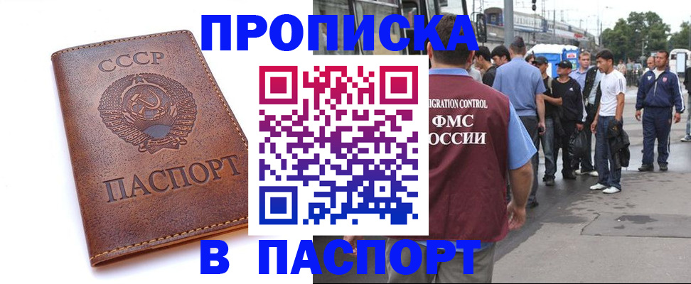 временная регистрация поиск в Заринске